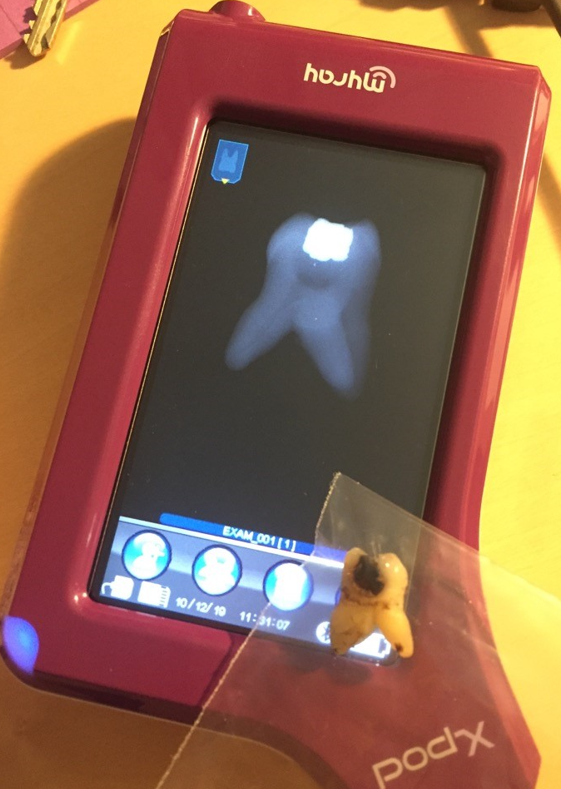 retsodontologi, odontologi, dsfro, www.dsfro.dk, 